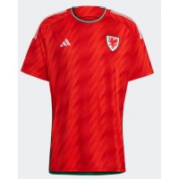 Camisa de time de futebol País de Gales Replicas 1º Equipamento Mundo 2022 Manga Curta